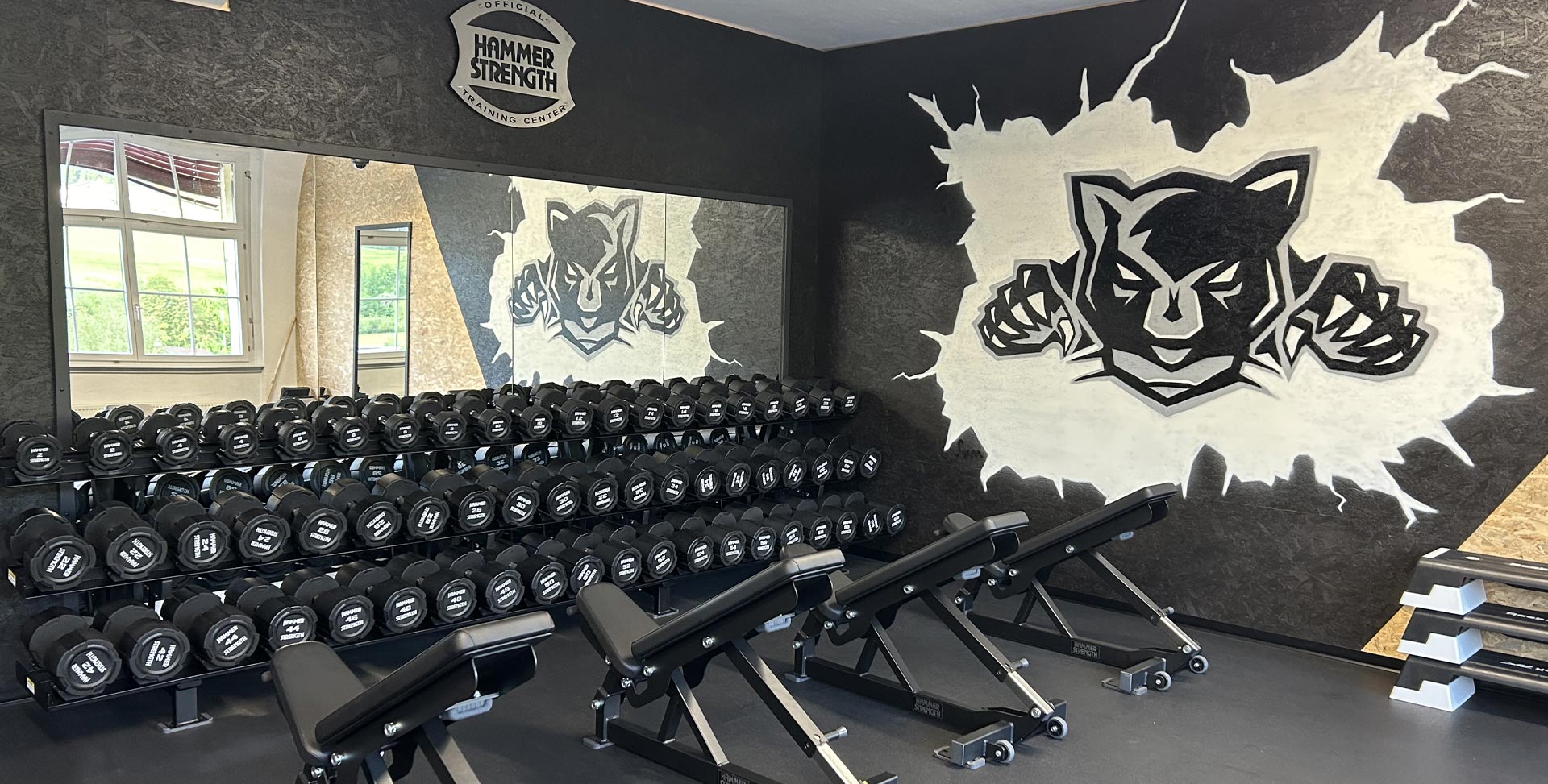 Dark-fitness-préparation-musculaire